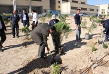 گزارش تصویری مراسم روز درخت کاری و تقدیر از نیروهای باغبانی دانشگاه